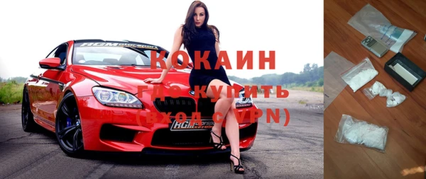 прущие грибы Алзамай