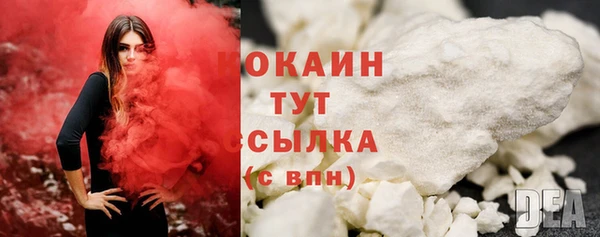 СК Алексин