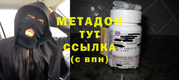 прущие грибы Алзамай