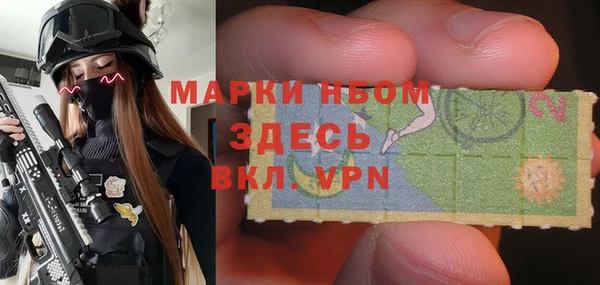 прущие грибы Алзамай