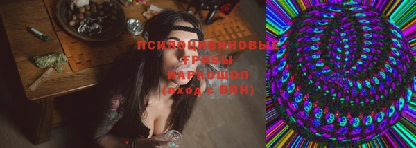 прущие грибы Алзамай