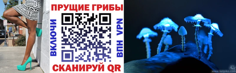 дарнет шоп  Волхов  Псилоцибиновые грибы GOLDEN TEACHER 