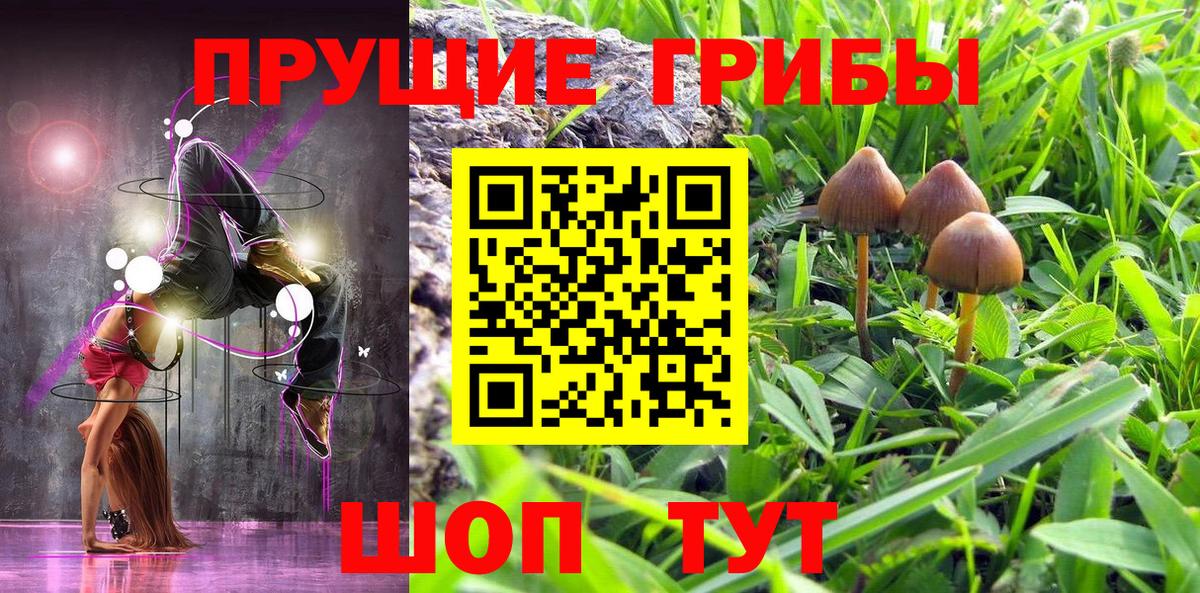 Волхов  Галлюциногенные грибы мухоморы  цена наркотик  Вход с VPN  Псилоцибиновые грибы ЛСД 
