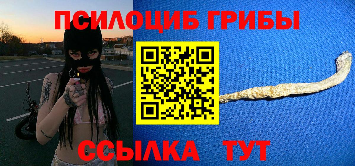 Псилоцибиновые грибы MAGIC MUSHROOMS Волхов